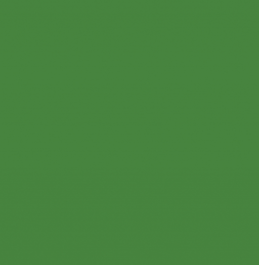 RAL 6017 Майский зеленый