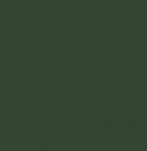 RAL 6020 Хромовый зеленый